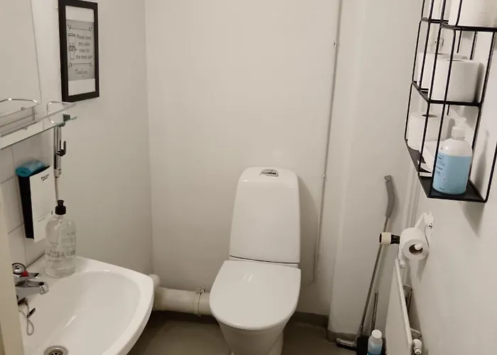 אכסניה Hostel400kokkola Mannerheiminaukio קוקולה